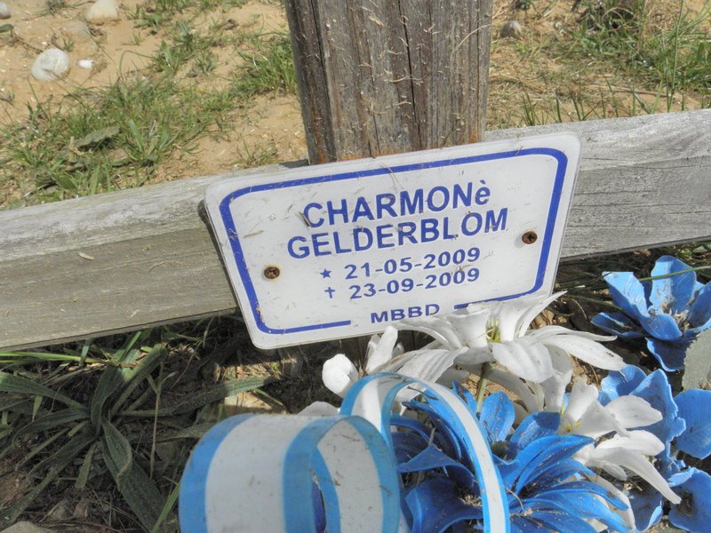 GELDERBLOM Charmone 2009-2009