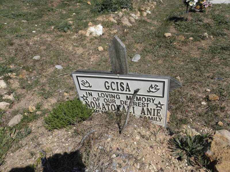 GCISA Nomatokazi Anie