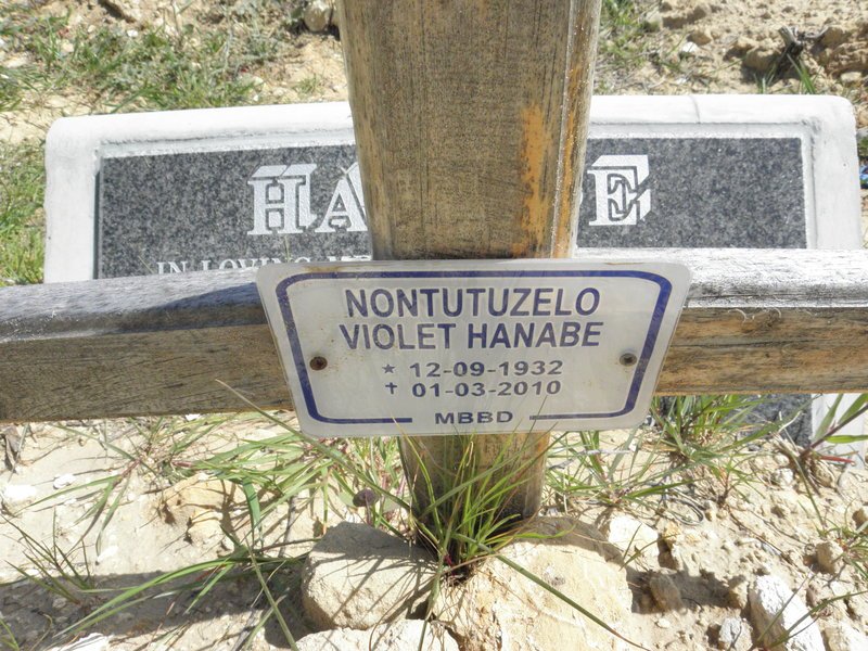 HANABE Nontutuzelo Violet 1932-2010