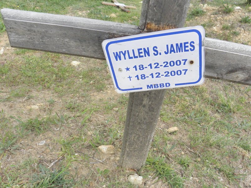JAMES Wyllen S. 2007-2007