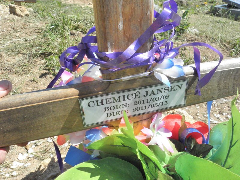 JANSEN Chemice 2011-2011