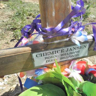 JANSEN Chemice 2011-2011