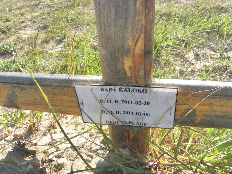 KALOKO Baby 2011-2011