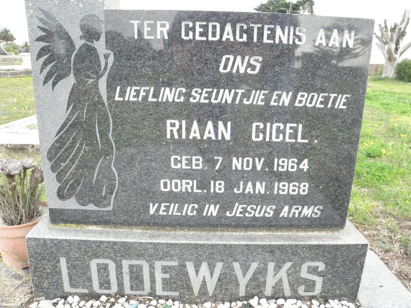 LODEWYKS Riaan Cicel 1964-1968