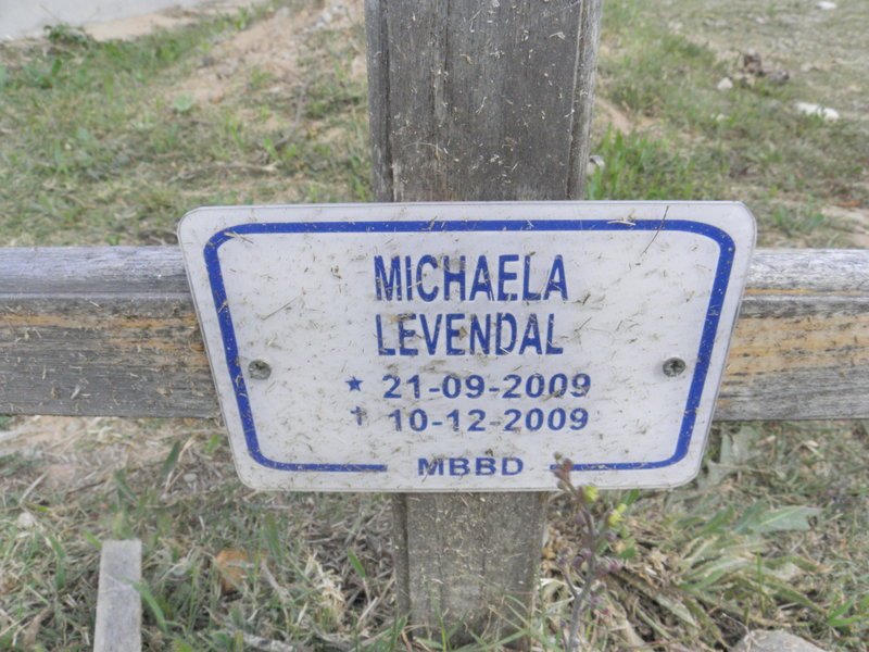 LEVENDAL Michaela 2009-2009