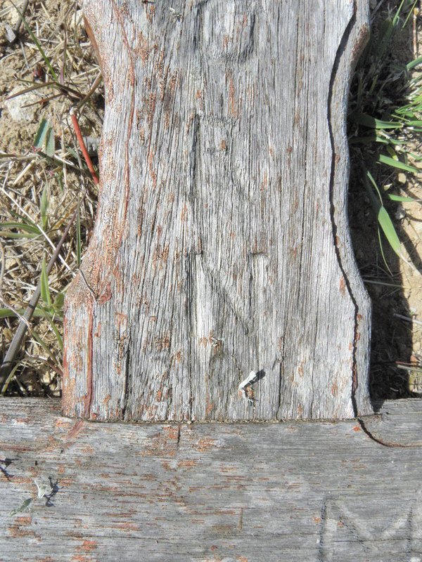 MANO Wilhelmina ?-1996