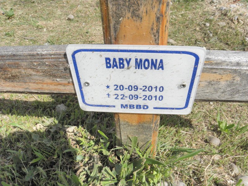 MONA Baba 2010-2010