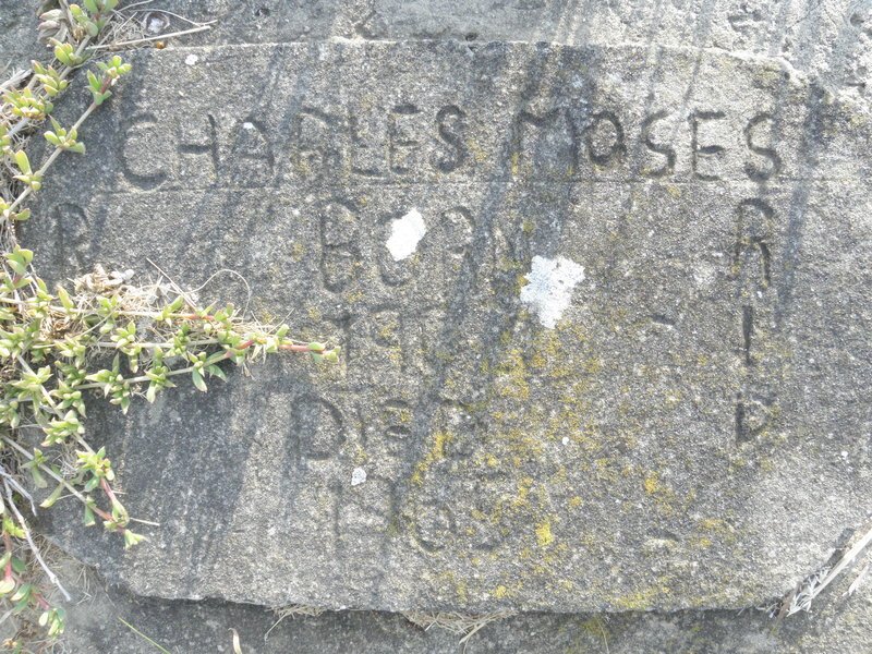 MOSES Charles 