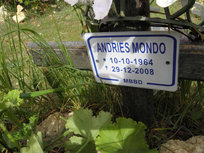 MONDO Andries 1964-2008