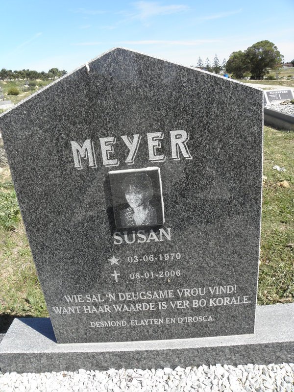 MEYER Susan 1970-2006