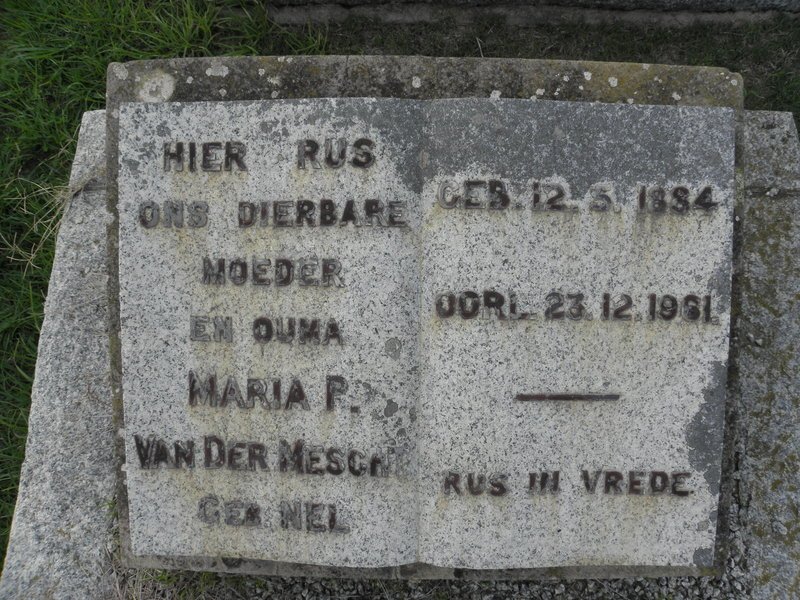 MESCHT Maria P., van der nee NEL 1884-1961