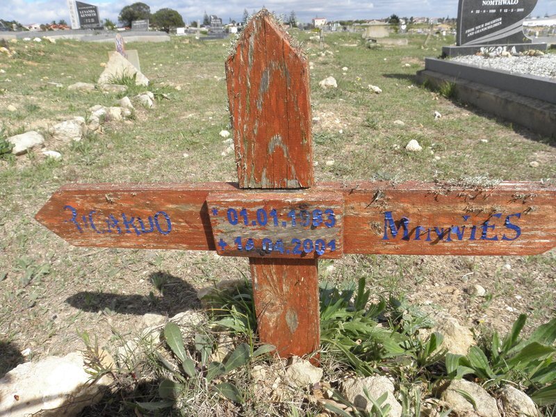 MINNIES Ricardo 1953-2001