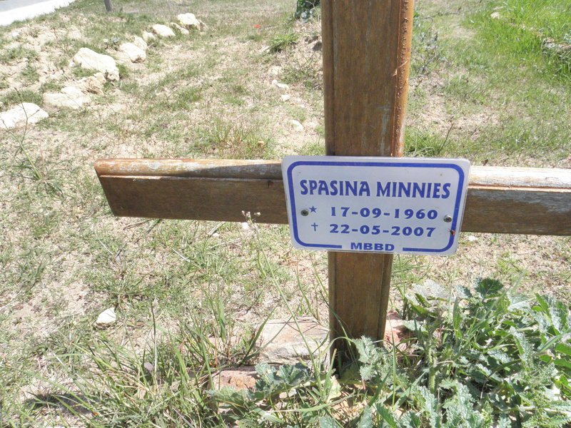 MINNIES Spasina 1960-2007