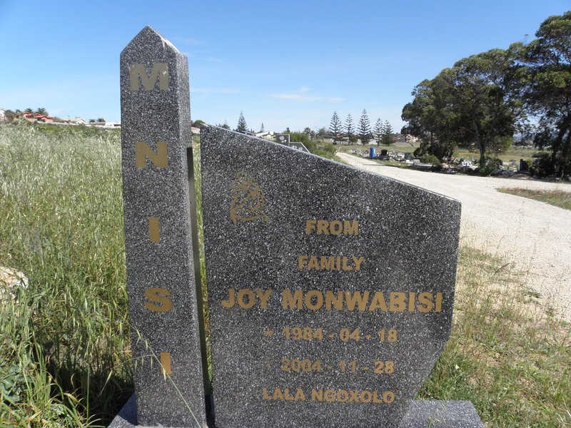 MNISI Joy Monwabisi 1984-2004