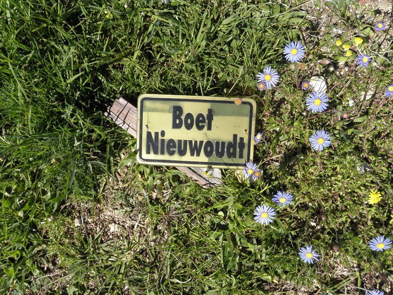 NIEUWOUDT Boet