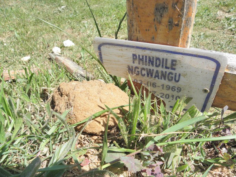 NGCWANGU Phindile 1969-2010