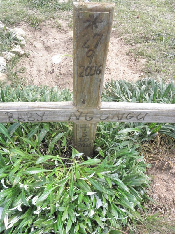 NGUNGU 2006-2006