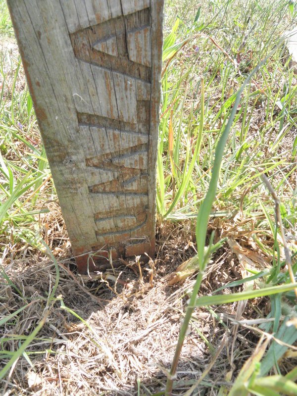 NGOXOLO Pumla