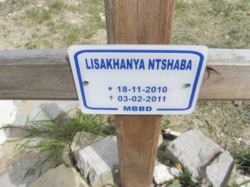 NTSHABA Lisakhanya 2010-2011