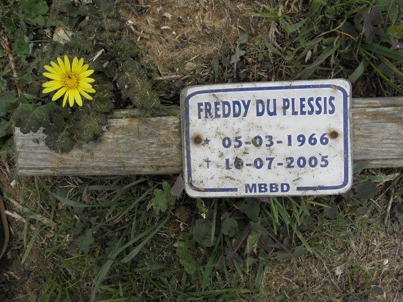 PLESSIS Freddy, du 1966-2005