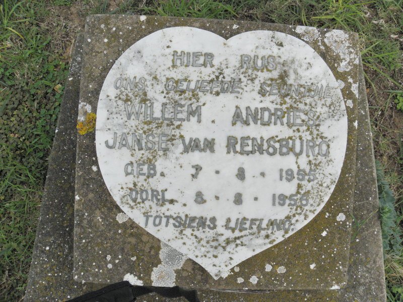 RENSBURG Willem Andries, Janse van 1955-1956