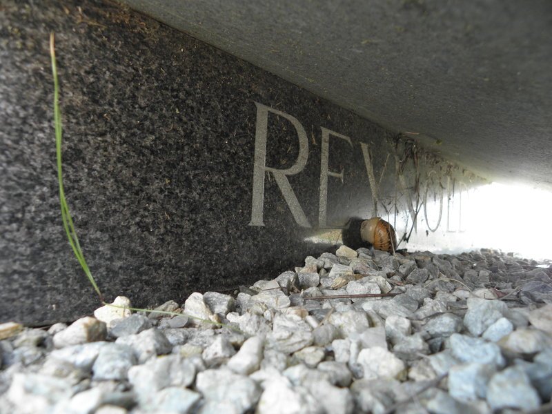 REYNOLDS Peter Jacobus 1924-1992