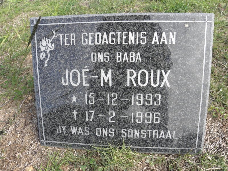 ROUX Joé-M. 1993-1996
