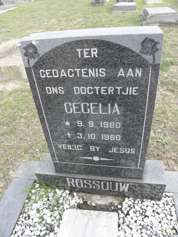 ROSSOUW Cecelia 1980-1980