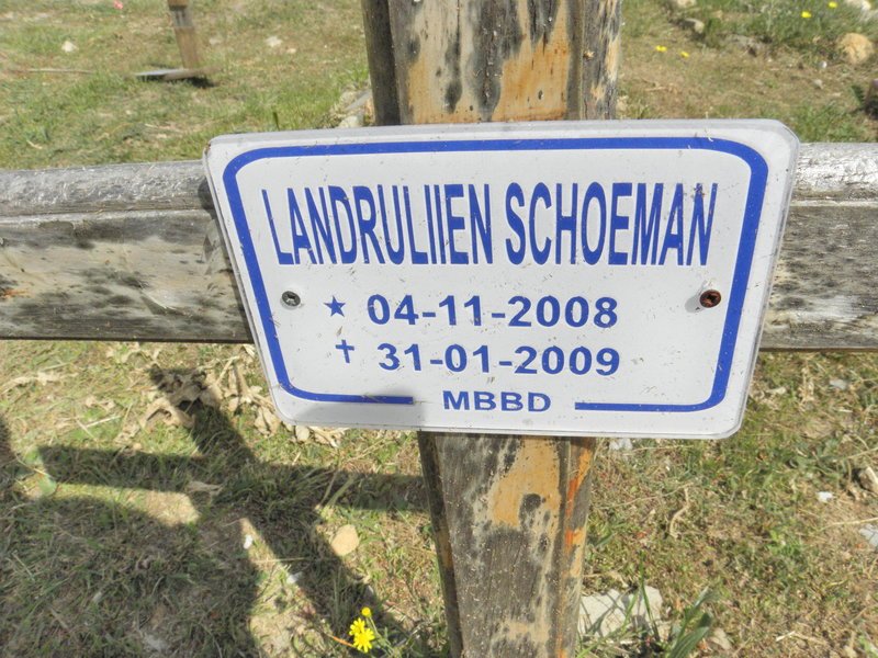 SCHOEMAN Landrulien 2008-2009