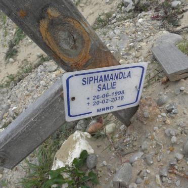 SALIE Siphamandla 1998-2010