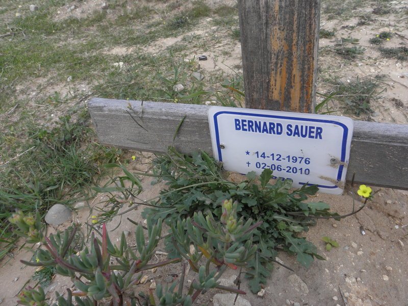 SAUER Bernard 1976-2010