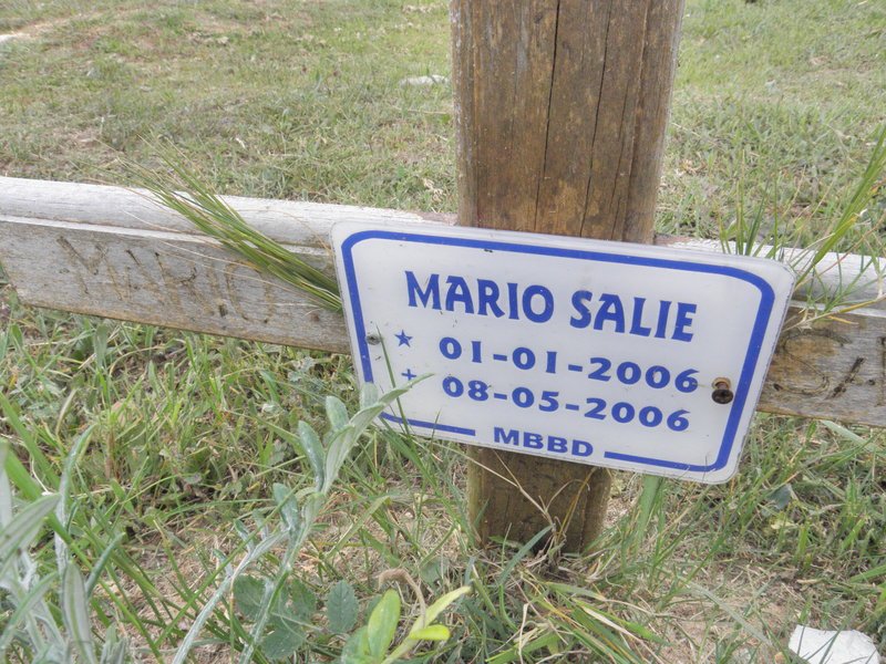 SALIE Mario 2006-2006