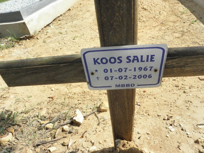 SALIE Koos 1967-2006