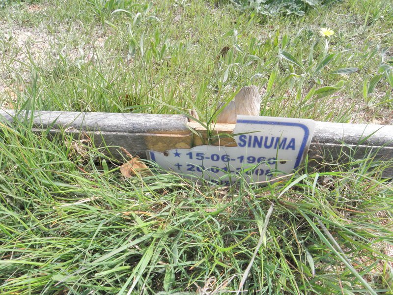 SINUMA ? 1960-2008