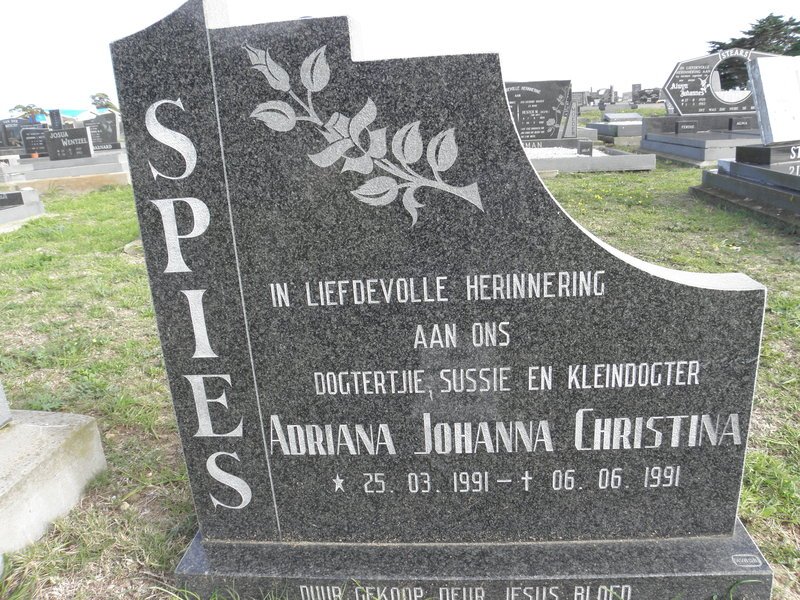 SPIES Adriana Johanna Christina 1991-1991
