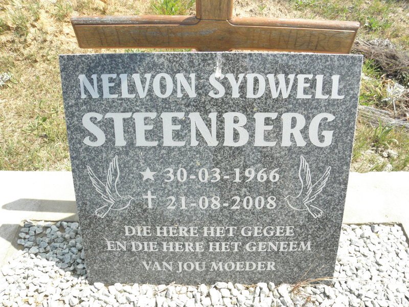 STEENBERG Nelvon Sydwell 1966-2008