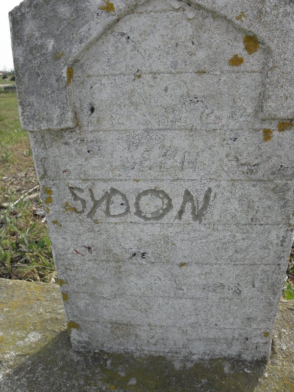 SYDON