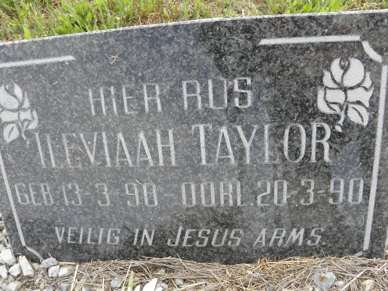 TAYLOR Ileviaah 1990-1990