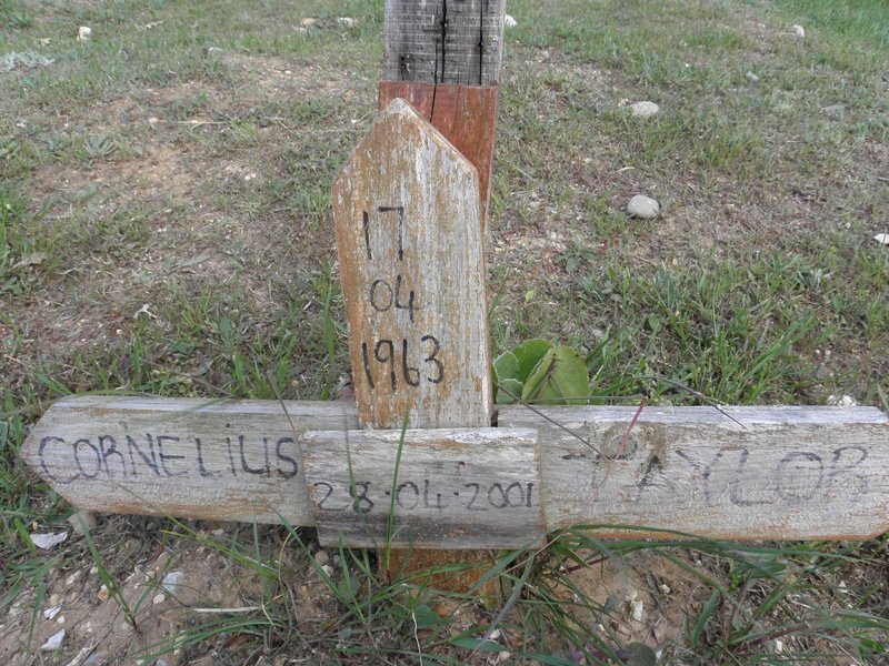 TAYLOR Cornelius 1963-2001