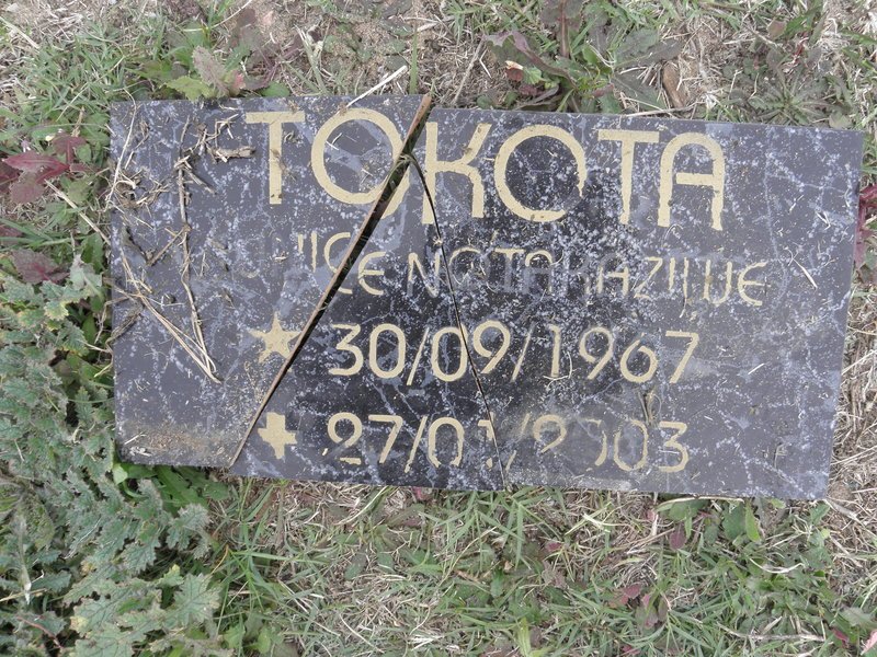 TOKOTA ?cenotabazhue 1967-2003
