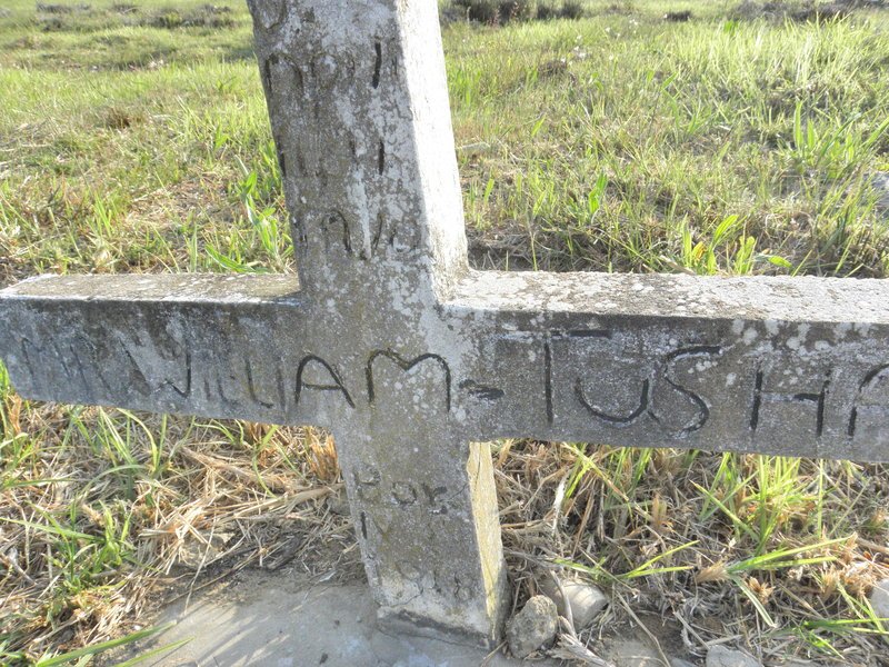 TUSHA William 1918-