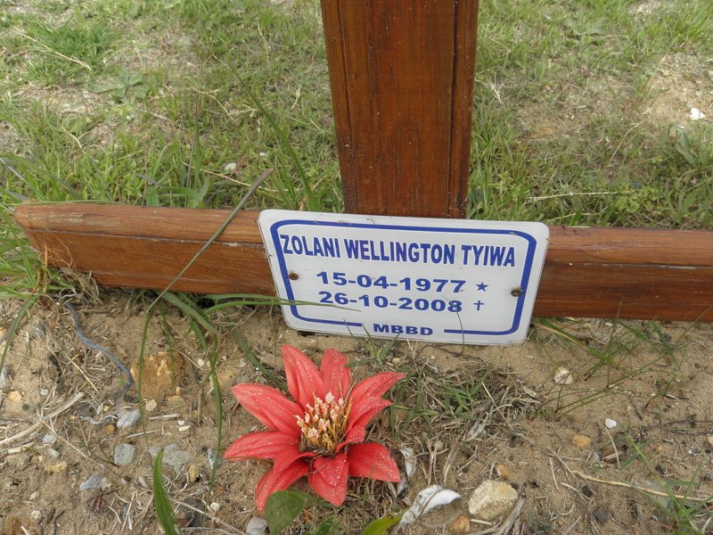TYIWA Zolani Wellington 1977-2008