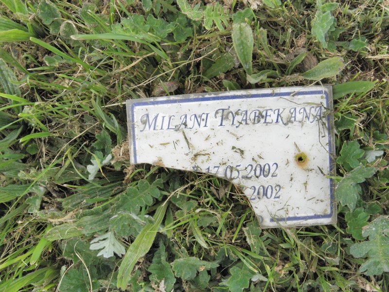 TYABEKANA Milani 2002-2002