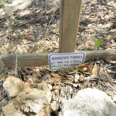 TSHALI Bongiwe 1981-2006