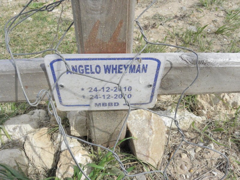 WHEYMAN Angelo 2010-2010