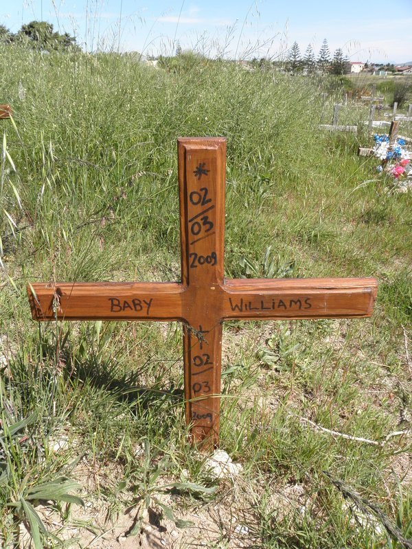 WILLIAMS 2009-2009