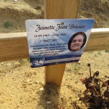 BRIESIES Jeanette Joan 1963-2024