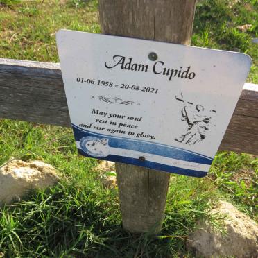 CUPIDO Adam 1958-2021