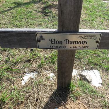 DAMONS Elon 2022-2022