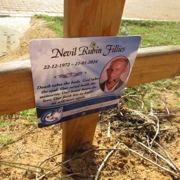 FILLIES Nevil Rubin 1972-2024